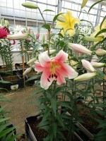 [5210 Sannomiya 18 ST No01 .JPG]